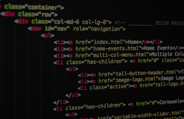 Web Development